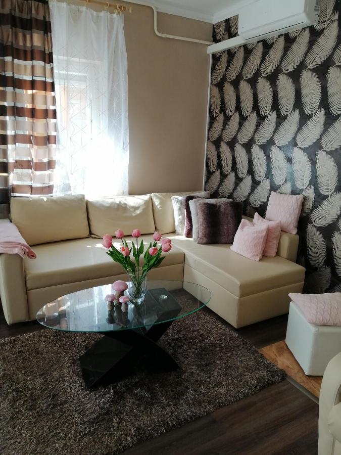 Erna Apartman Zalakaros Ngoại thất bức ảnh
